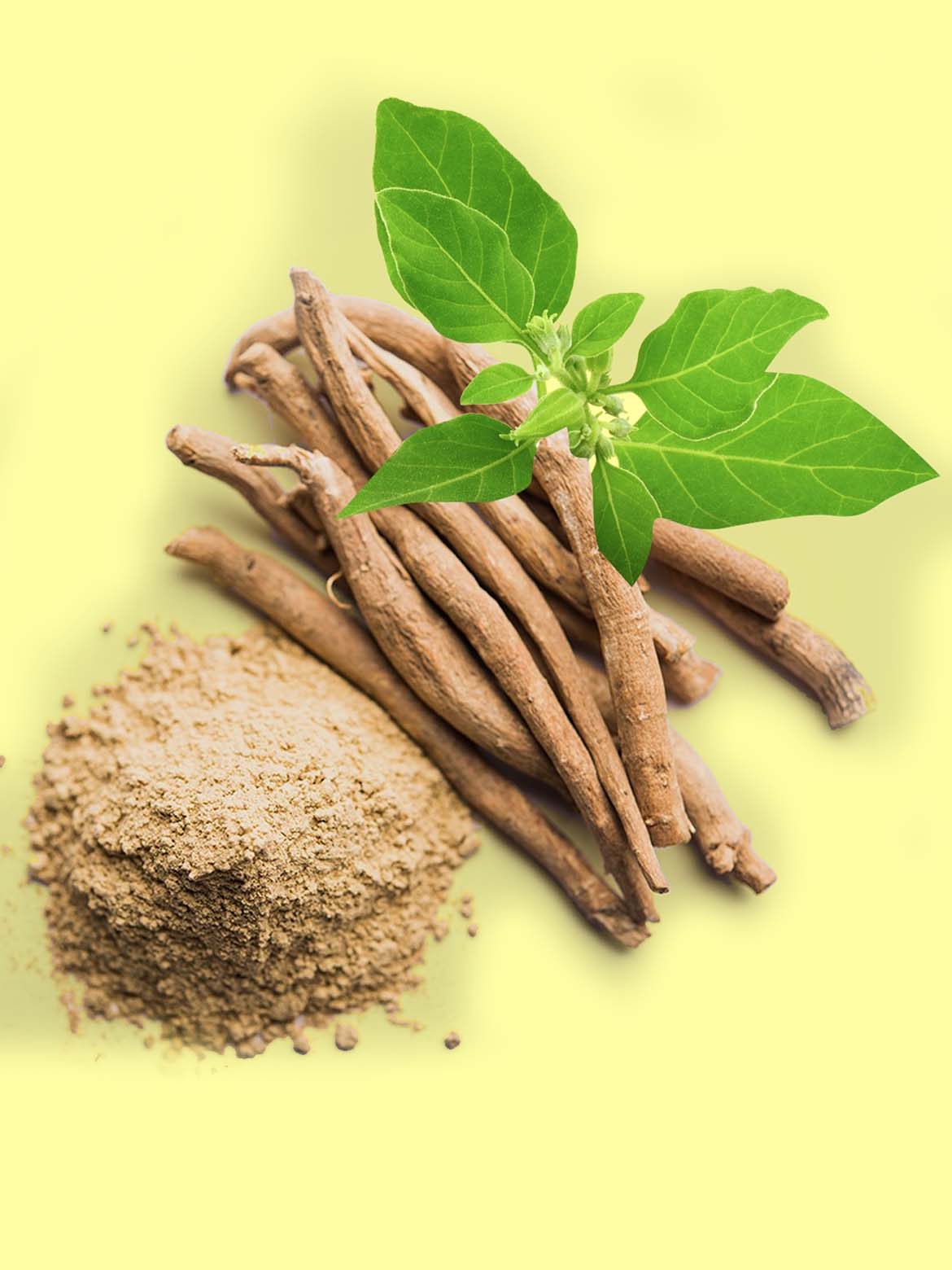 Harnessing the Power of Ashwagandha: Benefits, Uses, and More 