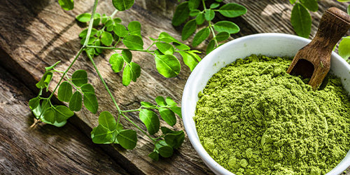 Plant Based Moringa: Health Benefits, Facts & Uses