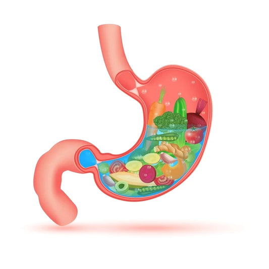 Boost Your Gut Health with Simply Herbal Probiotics 50 Billion CFU: A Powerful Prebiotic and Probiotic Supplement