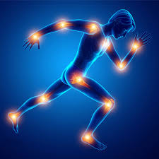 Simply Herbal Plant-Based Joint Care: Natural Relief for Joint and Bone Health