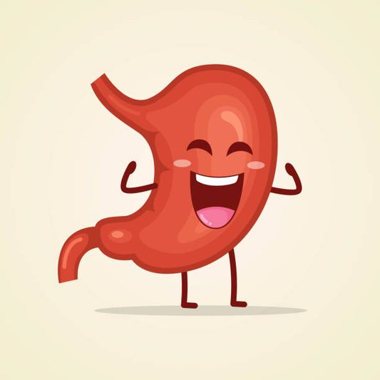 Tackle Bloating & Constipation with 37 Enzymes in One Powerful Syrup