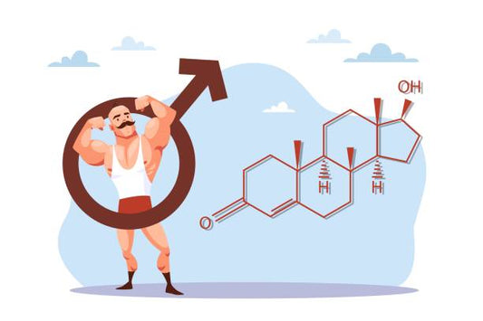 Simply Herbal Testo+ With Shilajit, Safed Musli & Ashwagandha: The Ultimate Testosterone Booster