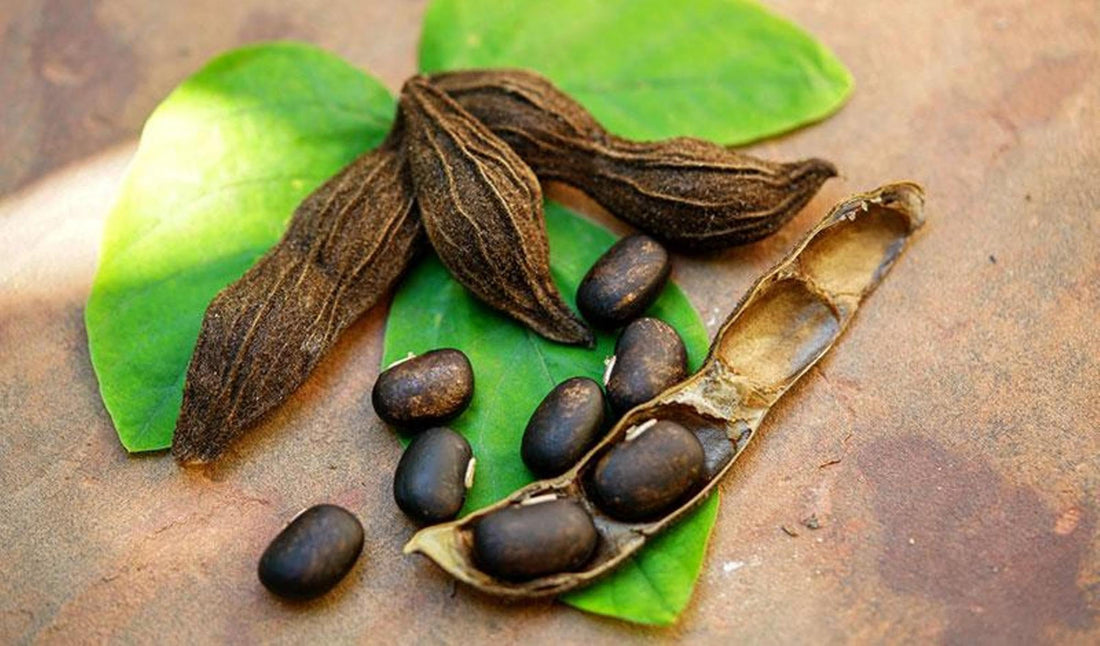 The Ultimate Guide to Simply Herbal Mucuna Pruriens Extract