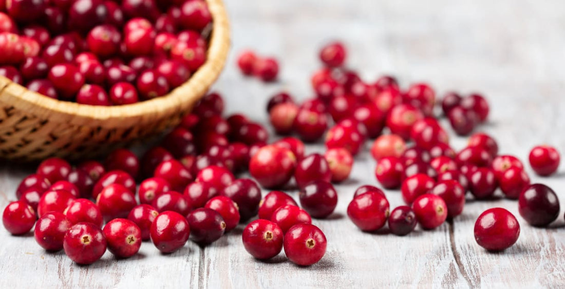 The Science Behind Cranberry: Improving Urinary Tract Health