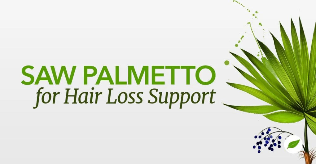 Saw Palmetto Extract