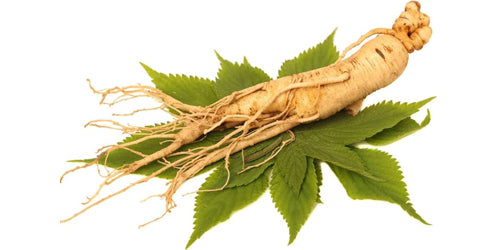 Korean Ginseng Health Benefits, Facts, Uses & Research