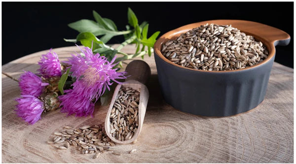 Unlocking the Power of Milk Thistle: The Ultimate Guide