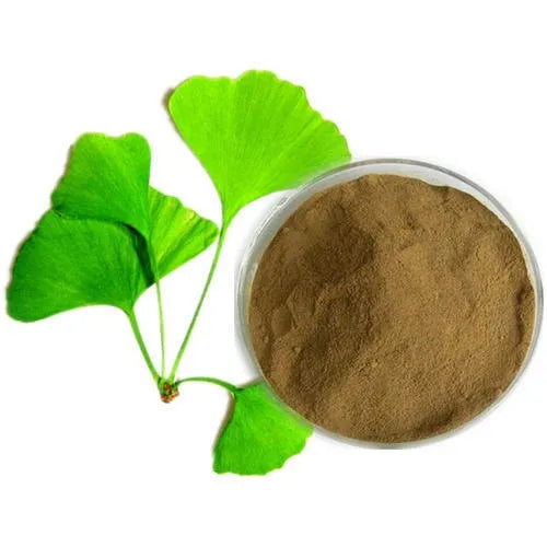 Improve Memory and Focus with Ginkgo Biloba