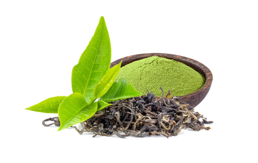 Green tea extract