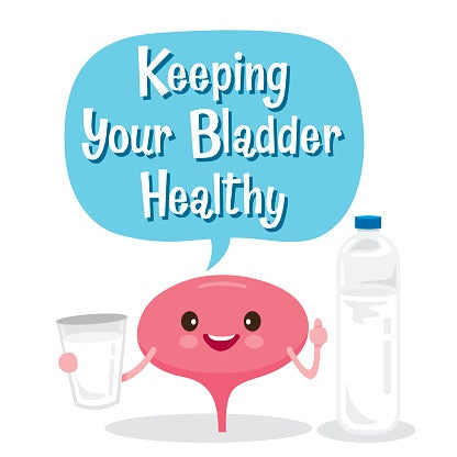 The Most Effective Way to Support Your Urinary Tract