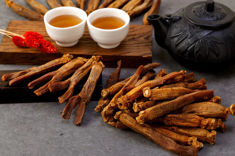 Exploring the Benefits of Red Ginseng: Enhancing Vitality and Wellness