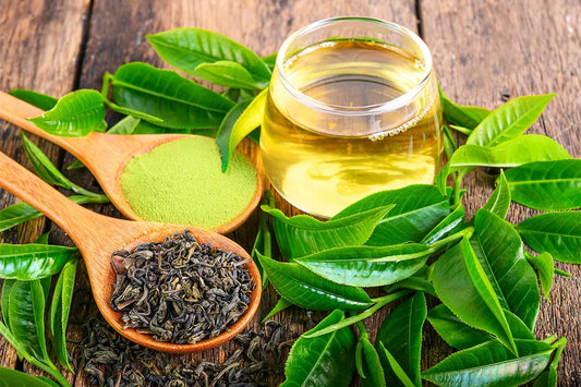 Unveiling the Benefits of Green Tea Extract Capsules